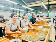 A Global Event: Coffee Days, Honoring Women In Coffee