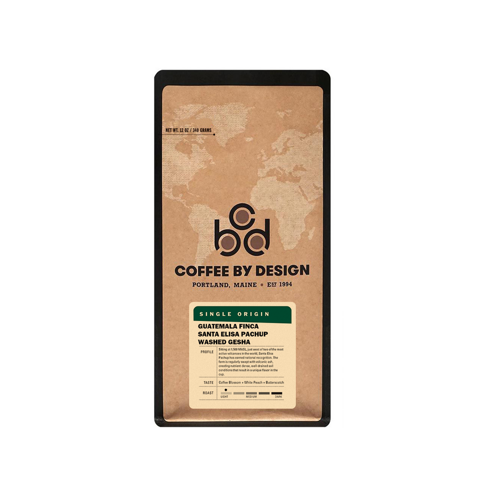 Guatemala Finca Santa Elisa Pachup Washed Gesha